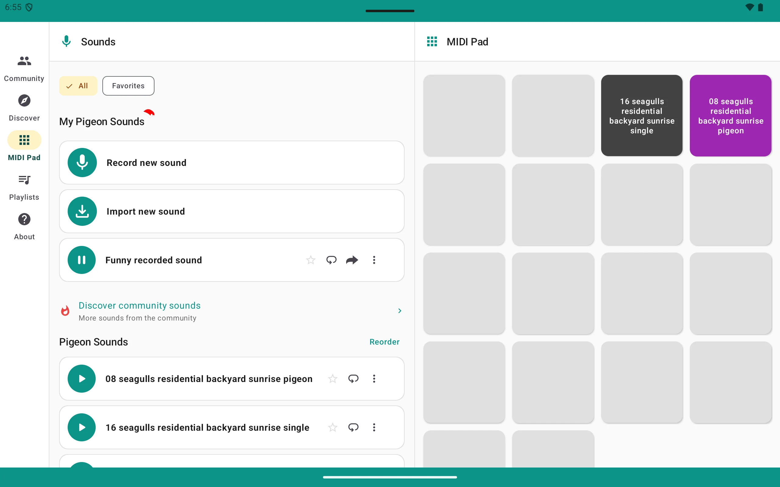 Pigeon Sounds & Cooing screenshot